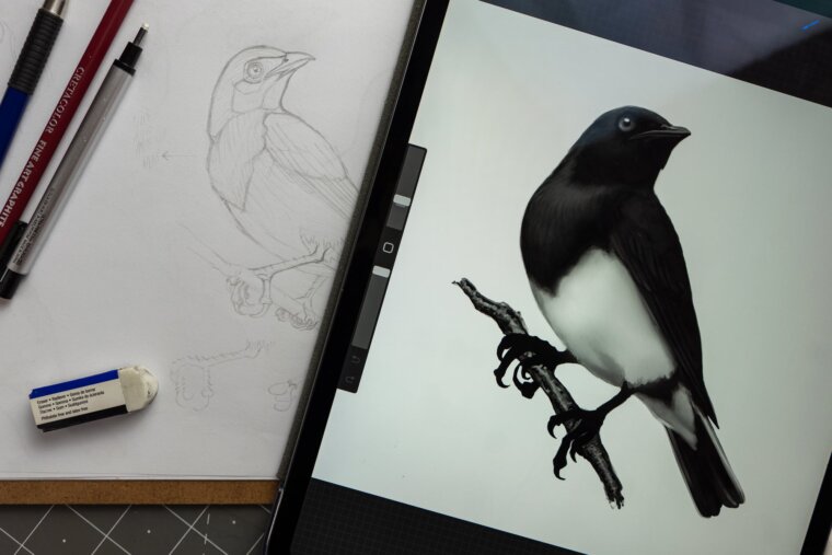 Fotografía de la pintura digital en un iPad y el boceto inicial hecho con lápiz grafito